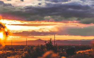 Using Energy to Stop Inherited Family Trauma